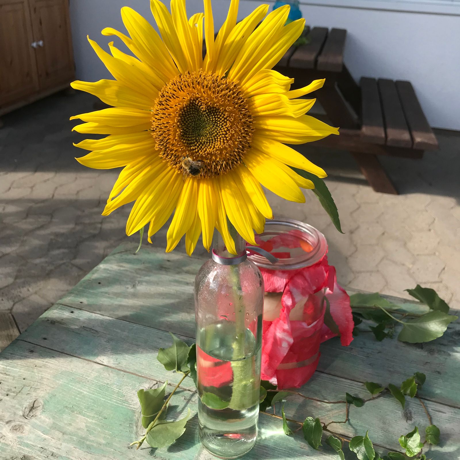 Sonnenblume